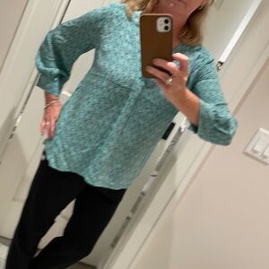 Silk Joie Blouse 